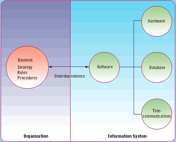 interdependence between organisation and information system